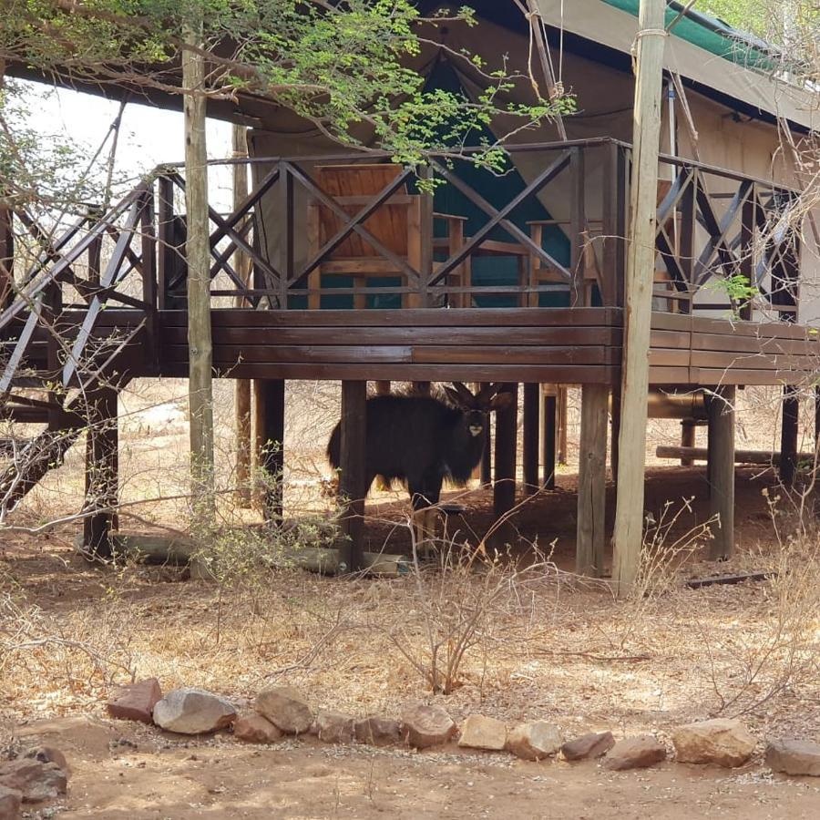 Kelora Bush Camp Hotel Hoedspruit Exterior photo